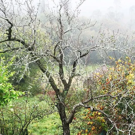 Ξενοδοχείο Rustico Santa Eulalia Mazaricos